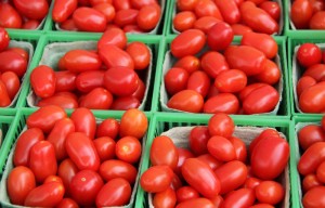 canstockphoto4051928